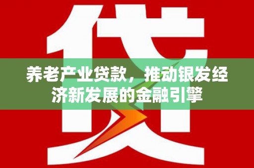宁明养老产业贷款，推动银发经济新发展的金融引擎