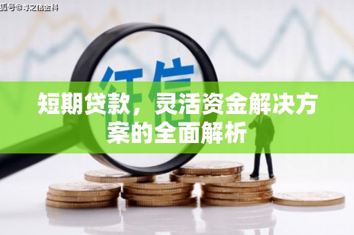 宁明短期贷款，灵活资金解决方案的全面解析