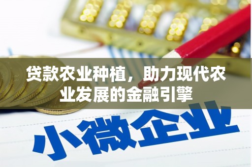 宁明贷款农业种植，助力现代农业发展的金融引擎