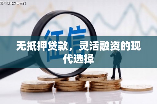 宁明无抵押贷款，灵活融资的现代选择