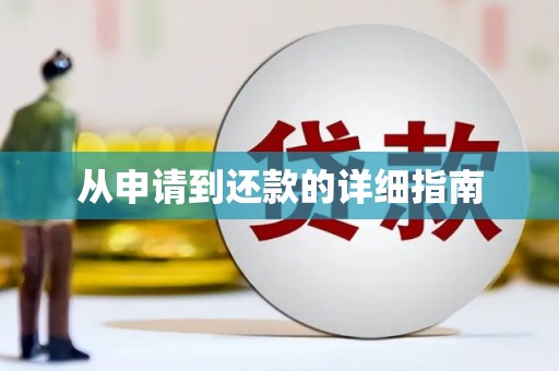 宁明从申请到还款的详细指南