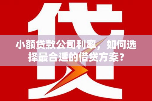 宁明小额贷款公司利率，如何选择最合适的借贷方案？