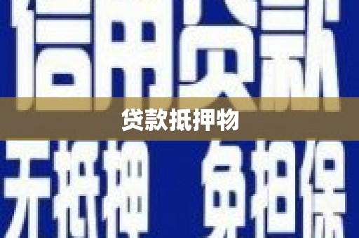 宁明贷款抵押物