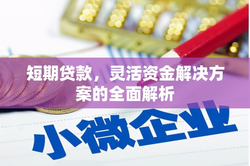 宁明短期贷款，灵活资金解决方案的全面解析