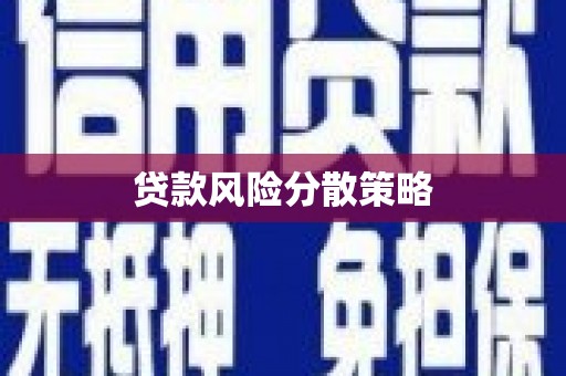 宁明贷款风险分散策略