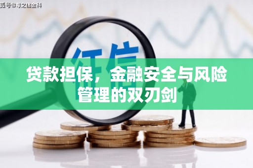 宁明贷款担保，金融安全与风险管理的双刃剑