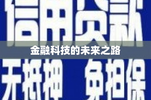 宁明金融科技的未来之路
