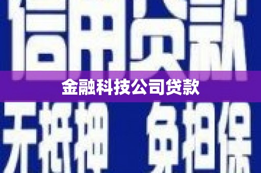 宁明金融科技公司贷款