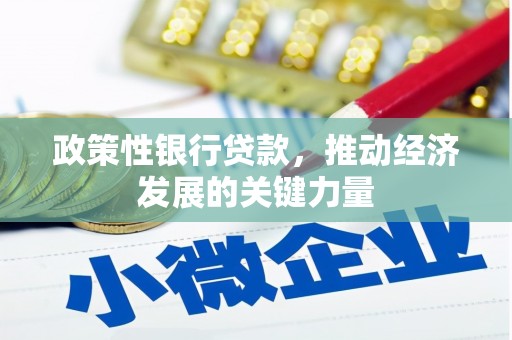 宁明政策性银行贷款，推动经济发展的关键力量