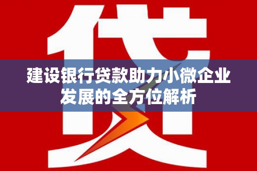 宁明建设银行贷款助力小微企业发展的全方位解析