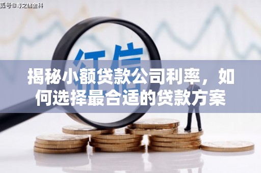 宁明揭秘小额贷款公司利率，如何选择最合适的贷款方案