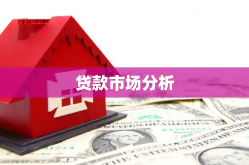 宁明贷款市场分析