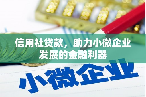 宁明信用社贷款，助力小微企业发展的金融利器