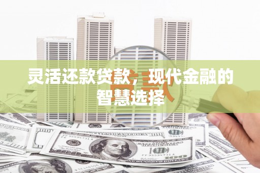 宁明灵活还款贷款，现代金融的智慧选择