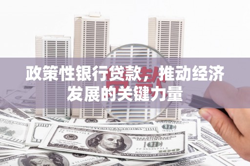 宁明政策性银行贷款，推动经济发展的关键力量