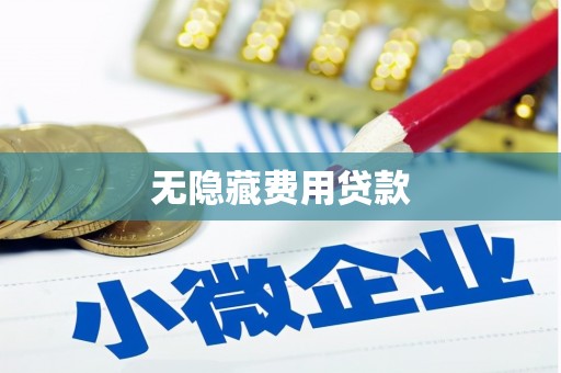 宁明无隐藏费用贷款