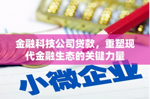 宁明金融科技公司贷款，重塑现代金融生态的关键力量