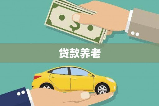 宁明贷款养老