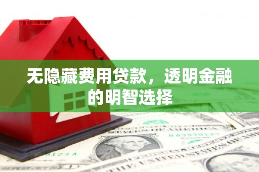 宁明无隐藏费用贷款，透明金融的明智选择