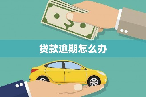 宁明贷款逾期怎么办