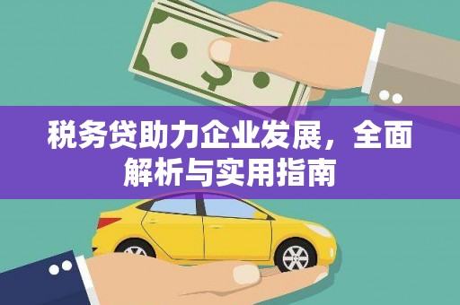 宁明税务贷助力企业发展，全面解析与实用指南