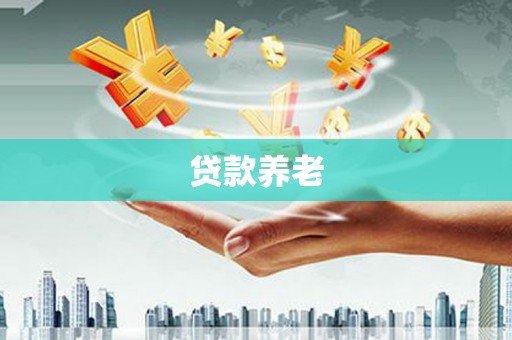 宁明贷款养老