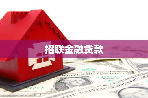 宁明招联金融贷款
