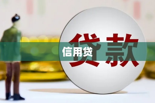 宁明信用贷