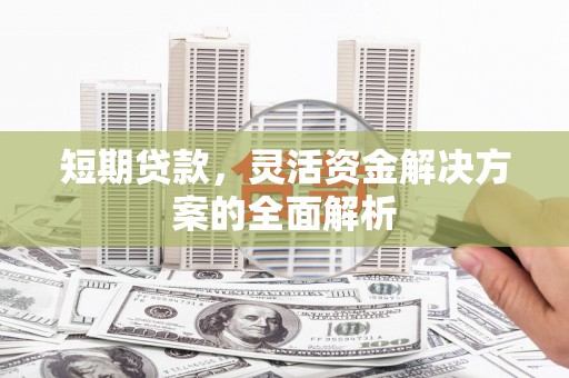 宁明短期贷款，灵活资金解决方案的全面解析