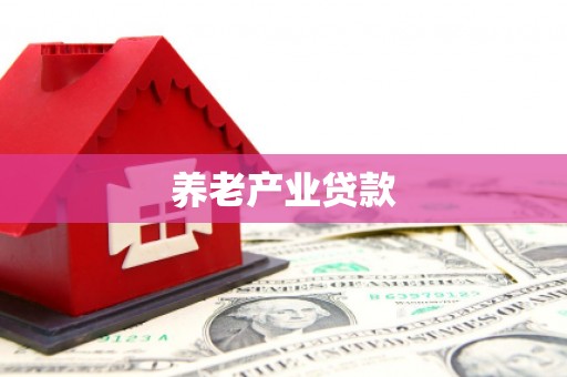 宁明养老产业贷款