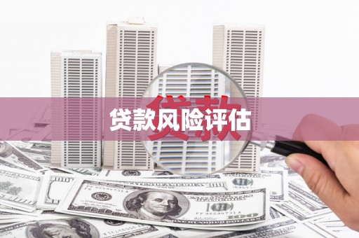 宁明贷款风险评估