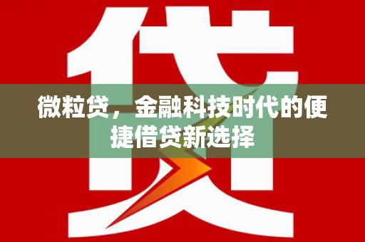 宁明微粒贷，金融科技时代的便捷借贷新选择