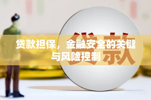 宁明贷款担保，金融安全的关键与风险控制