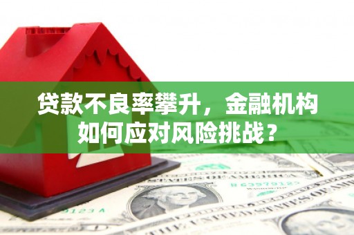 宁明贷款不良率攀升，金融机构如何应对风险挑战？