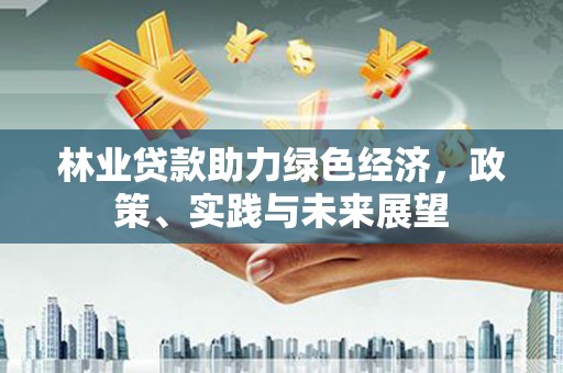 宁明林业贷款助力绿色经济，政策、实践与未来展望