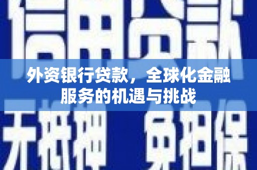 宁明外资银行贷款，全球化金融服务的机遇与挑战