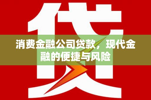 宁明消费金融公司贷款，现代金融的便捷与风险