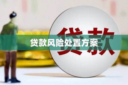 宁明贷款风险处置方案