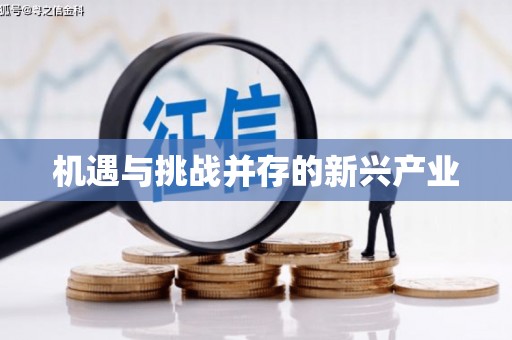宁明机遇与挑战并存的新兴产业