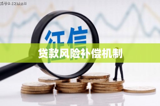 宁明贷款风险补偿机制