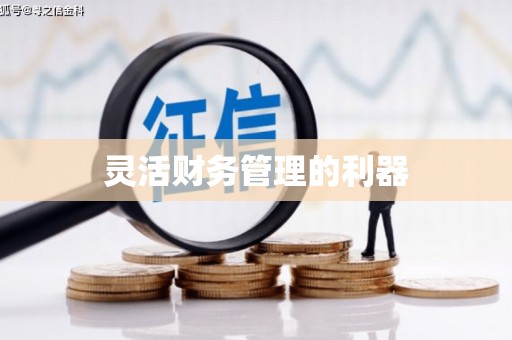 宁明灵活财务管理的利器