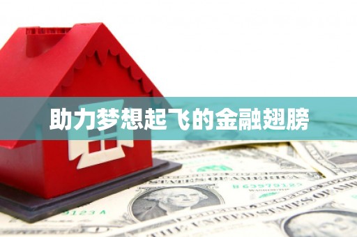 宁明助力梦想起飞的金融翅膀