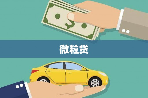 宁明微粒贷
