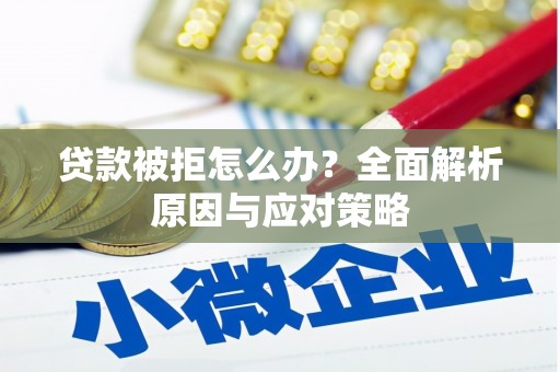 宁明贷款被拒怎么办？全面解析原因与应对策略