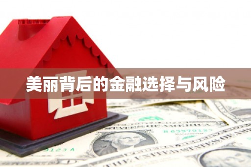 宁明美丽背后的金融选择与风险
