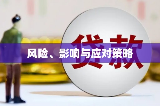 宁明风险、影响与应对策略