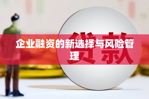 宁明企业融资的新选择与风险管理