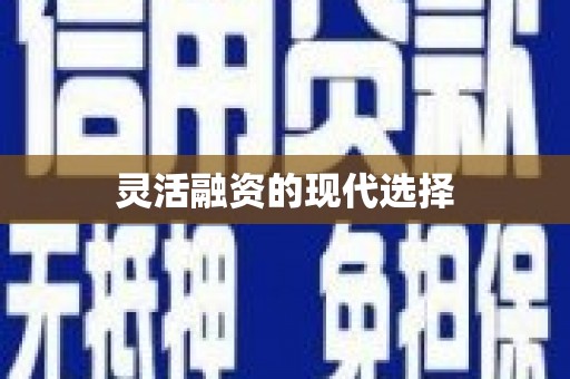 宁明灵活融资的现代选择