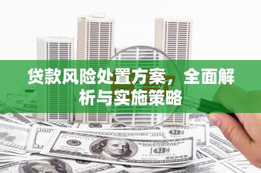 宁明贷款风险处置方案，全面解析与实施策略
