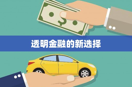 宁明透明金融的新选择